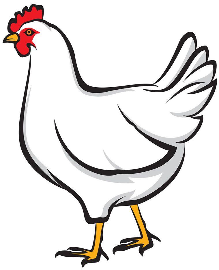 Chicken Bird Logo - Hen Icon Png 28