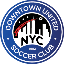 New York Soccer Logo - Downtown United Soccer Club | New York City FC