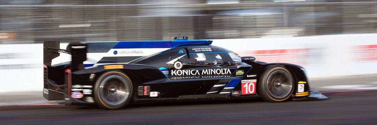 Cadillac Racing Logo - IMSA Prototype Racing