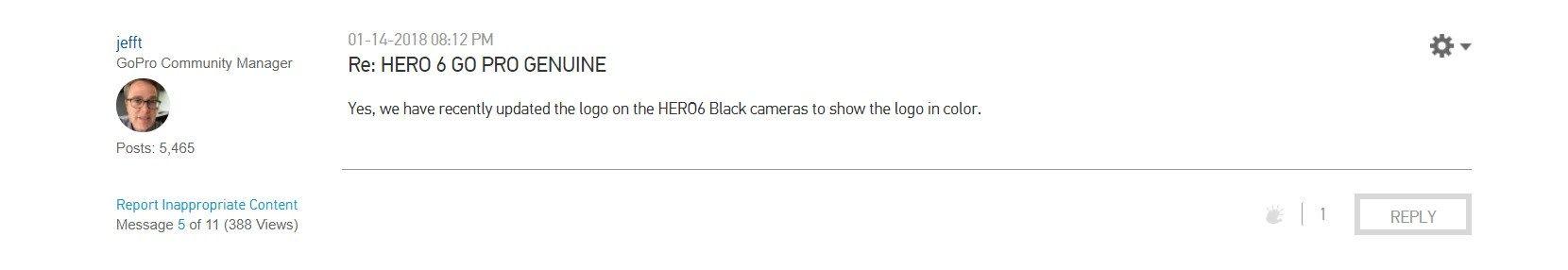 Grey Colored Logo - GoPro HERO6 Colored and Gray Logo's the Difference?