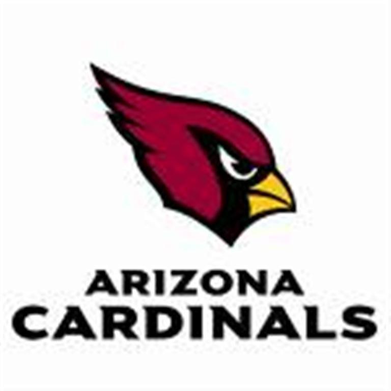 Arizona Football Team Logo - Arizona Cardinals...now that they have Floyd!! | I love football ...