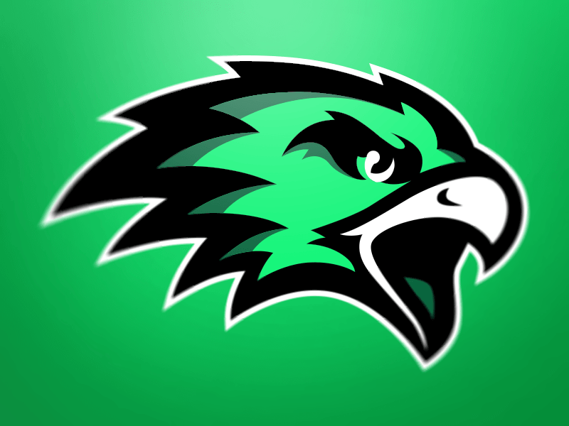 Fighting Hawk Logo - So I Guess Fighting Hawks It Is Nickname