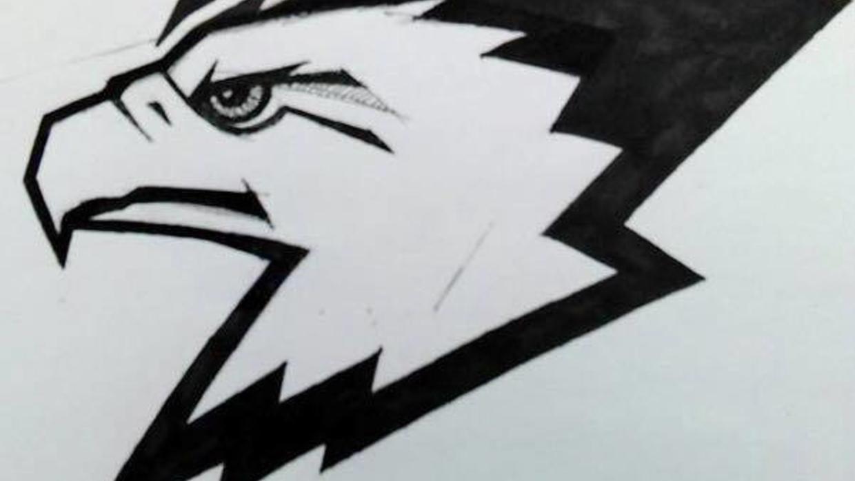 Fighting Hawk Logo - An image emerges, but not officially: Artist Bennett Brien creates ...