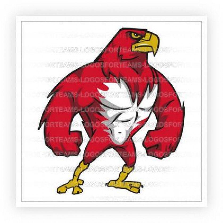 Fighting Hawk Logo - Mascot Logo Part of a Fighting Hawk Graphic In Color