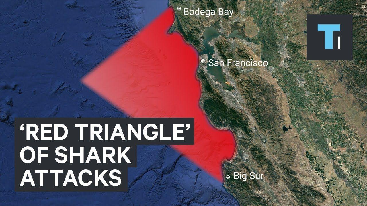 Red Triangle Movie Logo - The 'Red Triangle' off the California coast is known for great white ...