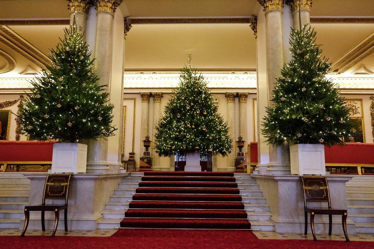 Buckingham Palace Christmas Logo - Royal Christmas Trees