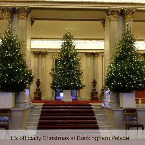Buckingham Palace Christmas Logo - Buckingham Palace shares Christmas decoration photo