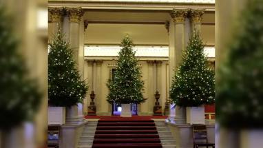 Buckingham Palace Christmas Logo - Christmas begins at Buckingham Palace as festive trees are put in ...