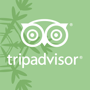 TripAdvisor Vector Logo - Tripadvisor Logo Vectors Free Download
