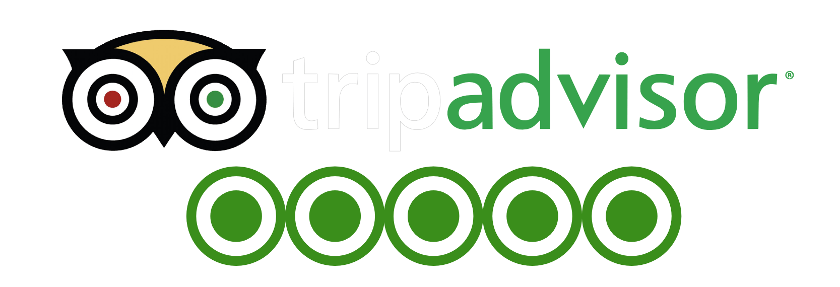 tripadvisor icon vector