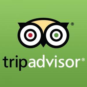 TripAdvisor Vector Logo - Comments & Reviews for Exceptional Kangaroo Island