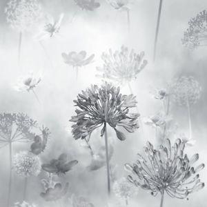 eBay Greyscale Logo - Details about Flower Wallpaper Floral Spring Meadow Field Magical Dandelion  GreyScale Arthouse