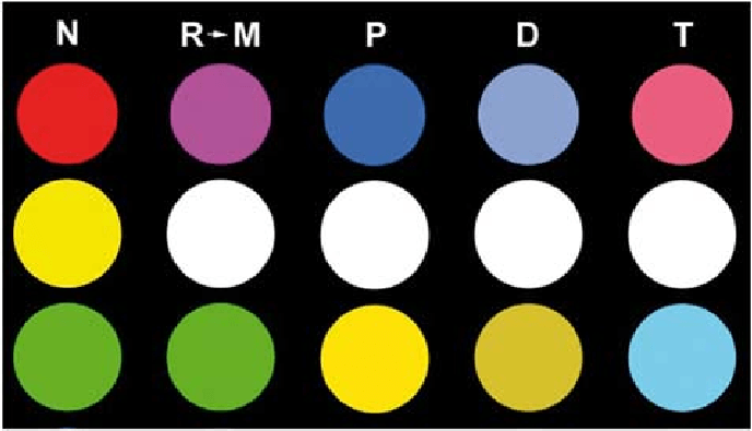 Red Yellow Green Circle Logo - Normal vision distinguishes the color dots as red, yellow, green