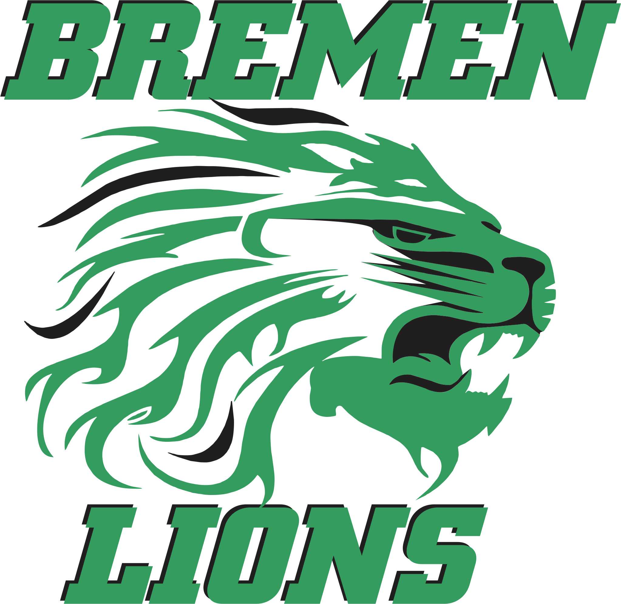 High School Lion Mascot Logo - Franko Design, Concepts, and Consulting for Brand and Image Bremen ...