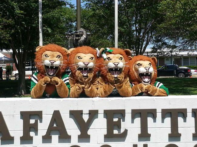 High School Lion Mascot Logo - Mascots - Lafayette High School
