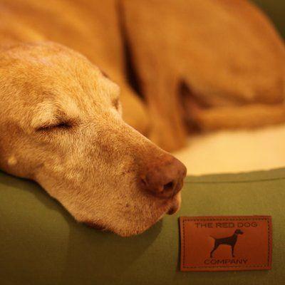 Companies with Red Dog Logo - The Red Dog Company