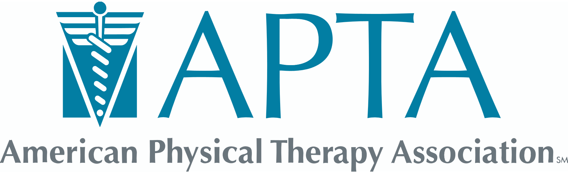American Physical Therapy Association Logo - Commission on Accreditation in Physical Therapy Education (CAPTE)