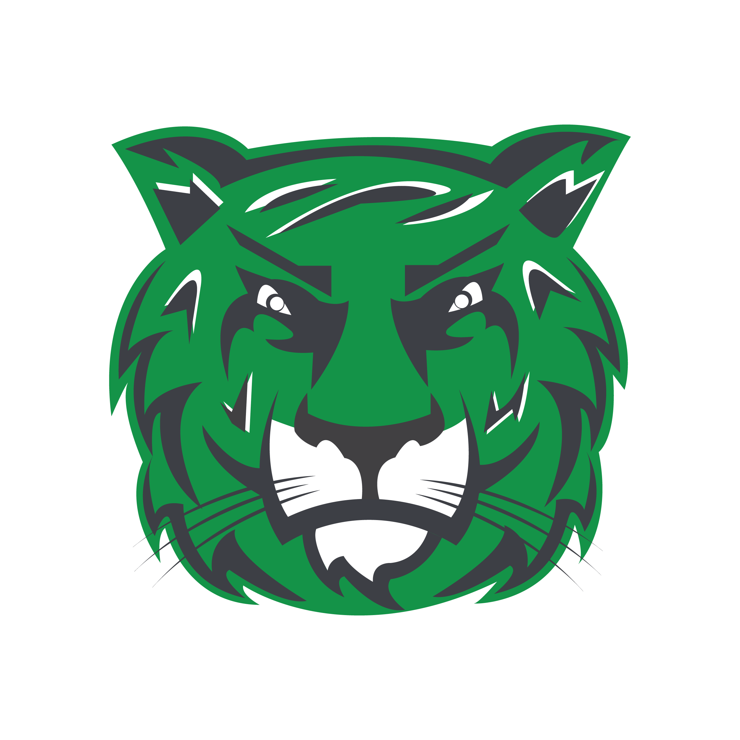 Green Tiger Logo - Salem University Athletics - Loba Creative