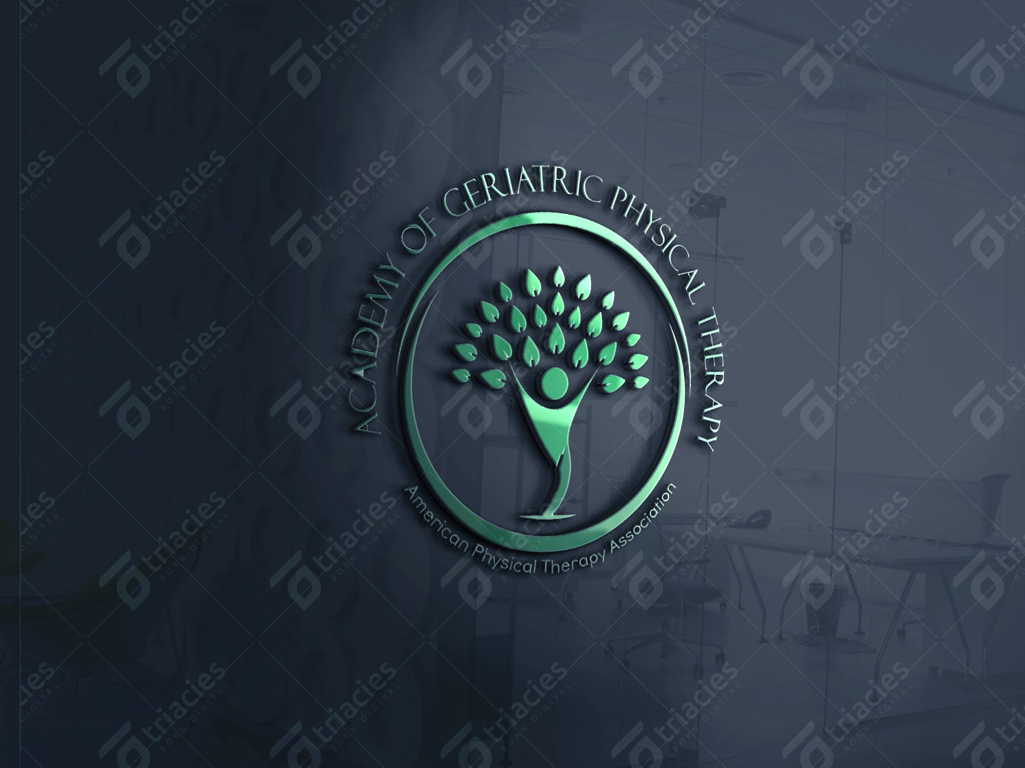 American Physical Therapy Association Logo - Triacies. Logo Design for American Physical Therapy Association