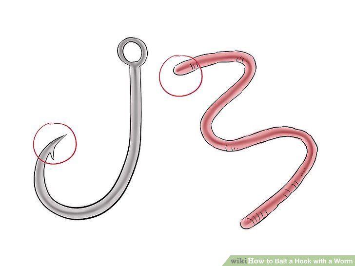 Fishing Worm Logo - How to Bait a Hook with a Worm: 10 Steps (with Pictures) - wikiHow