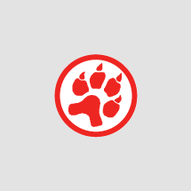CheetahMail Logo - Experian CheetahMail
