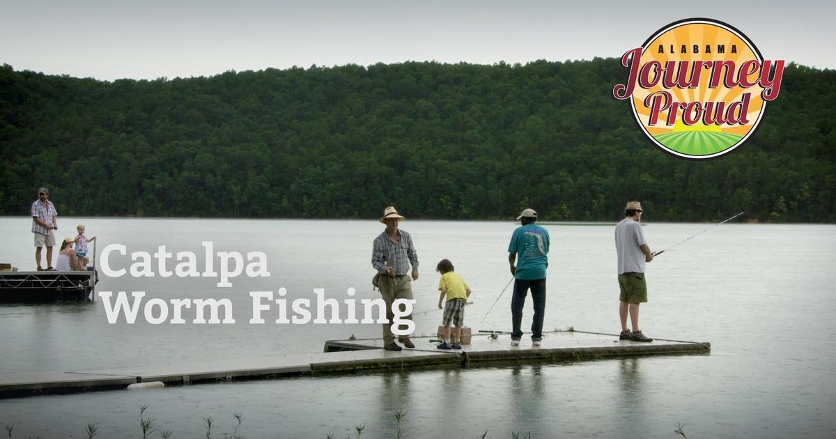 Fishing Worm Logo - Catalpa Worm Fishing