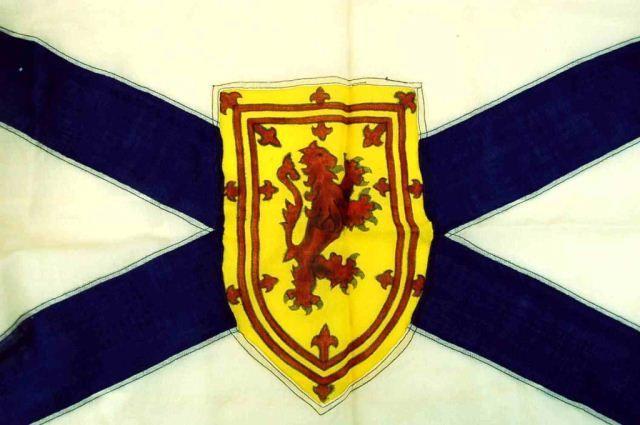 Red Blue and Yellow Shield Logo - Red Lion on Yellow Shield Flag | HiBid Auctions