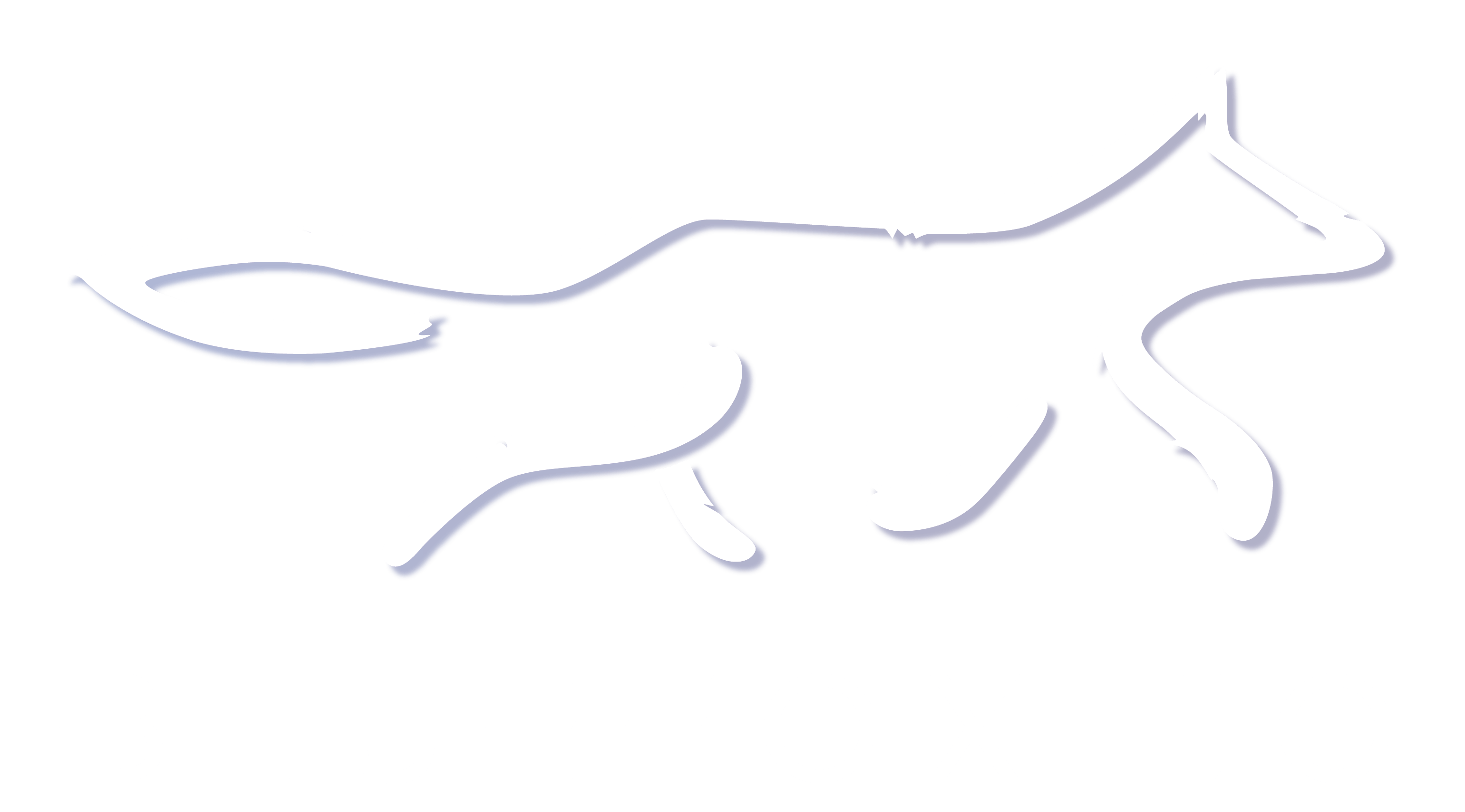 Black and Blue Fox Logo - BlueFox.io – The Next Generation of User Engagement.