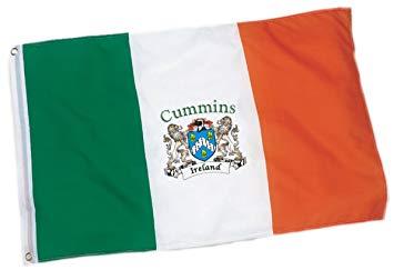Cummins Flag Logo - Amazon.com : Cummins Irish Coat of Arms Flag'x5' Foot : Garden