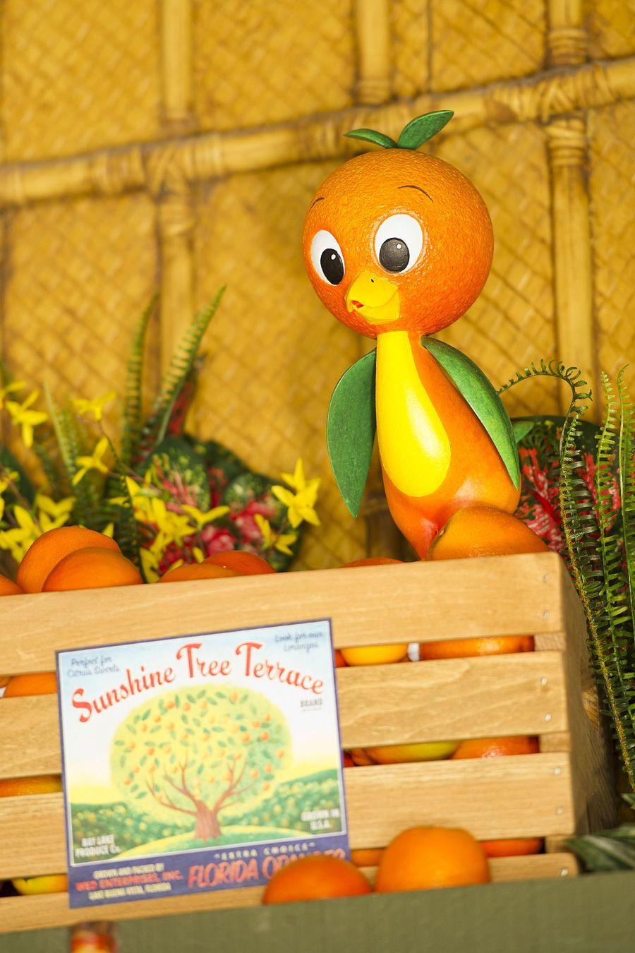Little Orange Bird Logo - Little Orange Bird Returns to Walt Disney World!