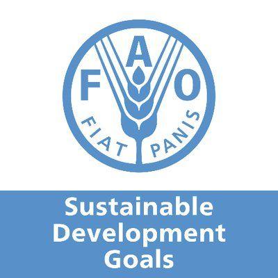 U S A Healthy People Co Logo - FAO and the SDGs animals