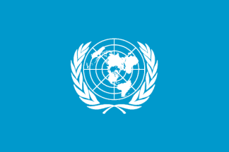 Un Flag Logo - United Nations Organization