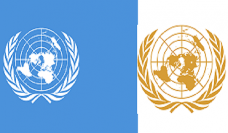 Un Flag Logo - What Is The United Nations?