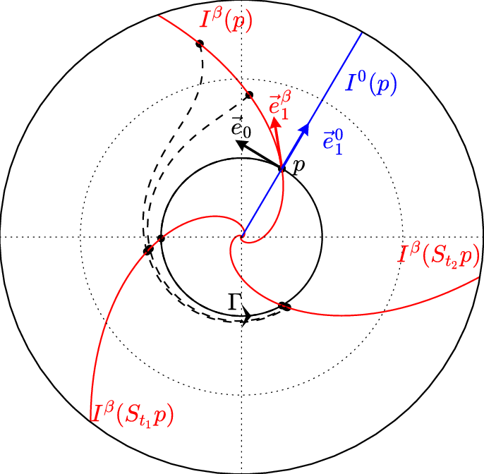 Thin Red P Logo - Limit cycle Γ (thin black line) and its isochrons (thin red lines