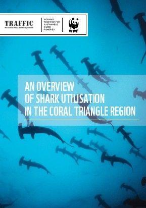 Shark in Triangle Logo - Poor Fisheries Management Endangers Sharks in the Coral Triangle