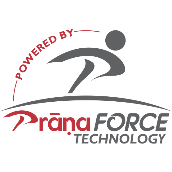 Prana Logo - Prana logo tech png of Wisdom