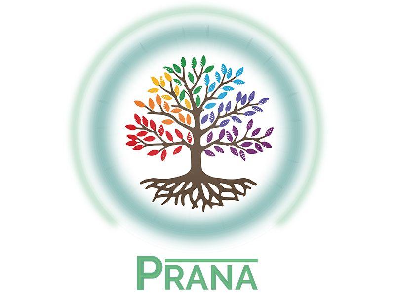 Pranana Logo - PRANA - Logo Design by Wyatt Lance on Dribbble