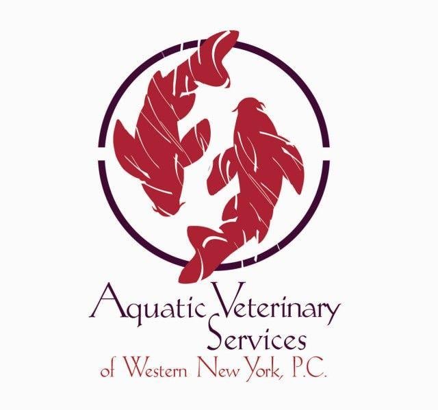 Koi Fish Graphic Logo - About Aquatic Veterinary Services Fish medicine koi vet goldfish