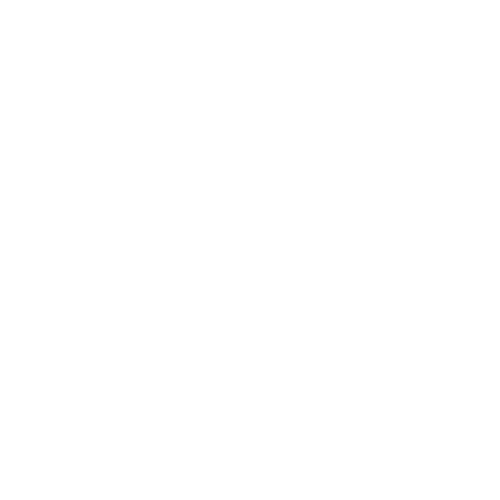 Globe Skate Logo - VISION STREET WEAR