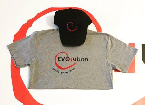 Gray and Red Swirl Logo - Apparel — EVOLution SPC