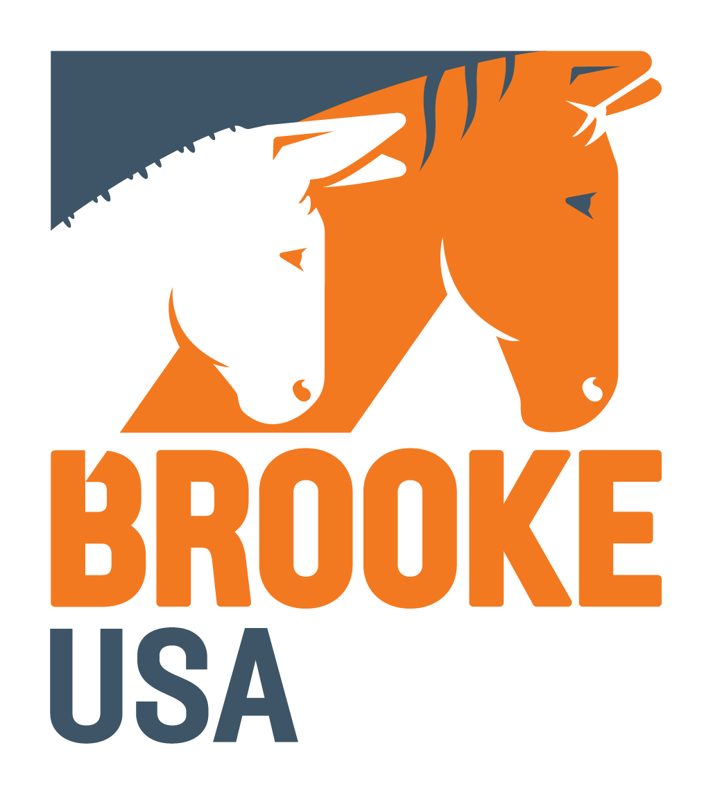 White and Orange Dots Logo - DOTS — Brooke USA