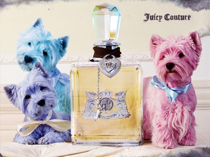 Juicy Couture Dog Logo - Juicy Couture images juicy couture HD wallpaper and background ...