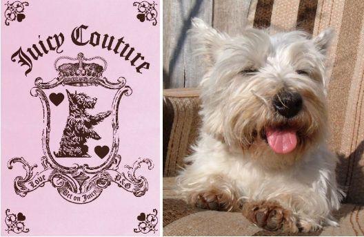 Juicy Couture Dog Logo - 12 Brands With Animal Logos and Their Real-Life Counterparts - Racked