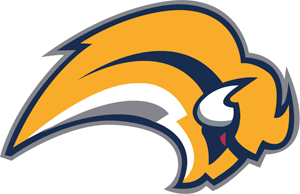 Generic Team Logo - More More Bad Hockey Logos – Buffalo Sabres | Place Name Here