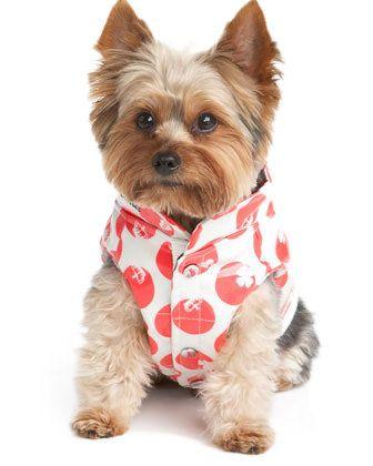 Juicy Couture Dog Logo - 8 Adorable Juicy Couture Accessories for Your Dog ... Fashion