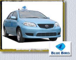 Blue Bird Taxi Logo - Wow! Blue Bird Beauties! What Next, Ojeks?