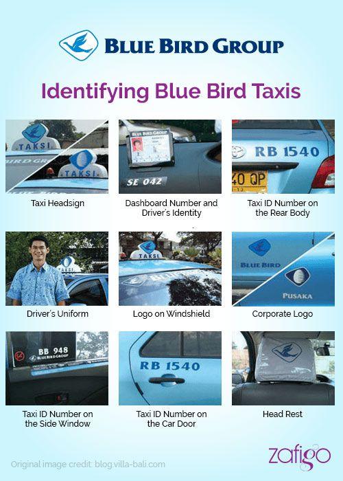 Blue Bird Taxi Logo - The Safest Way To Ride A Taxi In Bali - Zafigo