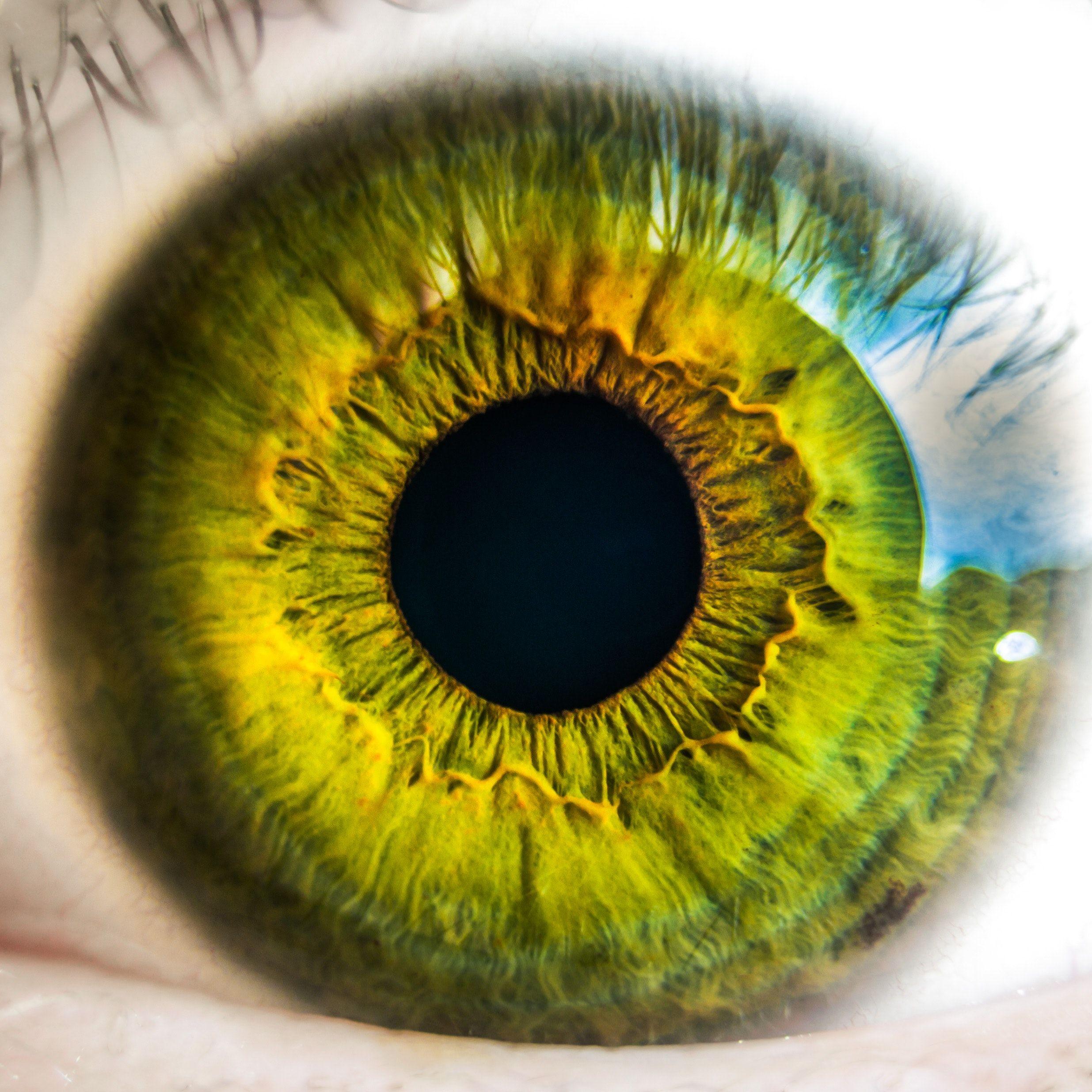 Green Eyeball Logo - Person's Green Eye · Free