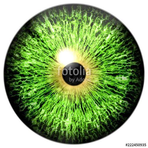 Green Eyeball Logo - Halloween isolated on white green eye, eyeball texture with black
