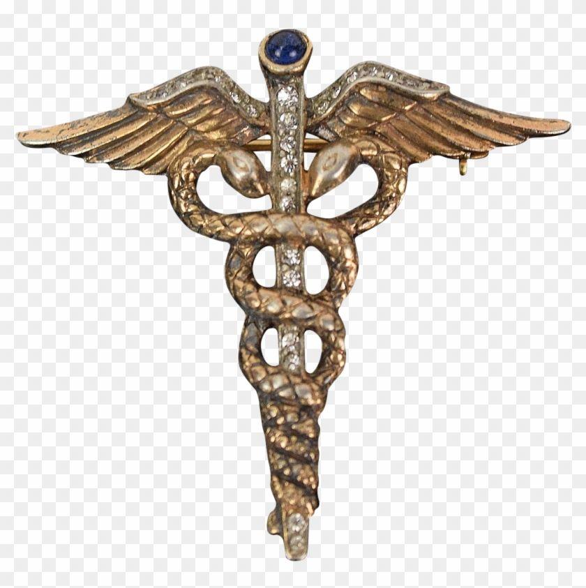 Medical Cross Snake Logo - Bronze Snake Medical Symbol Transparent PNG Clipart Image